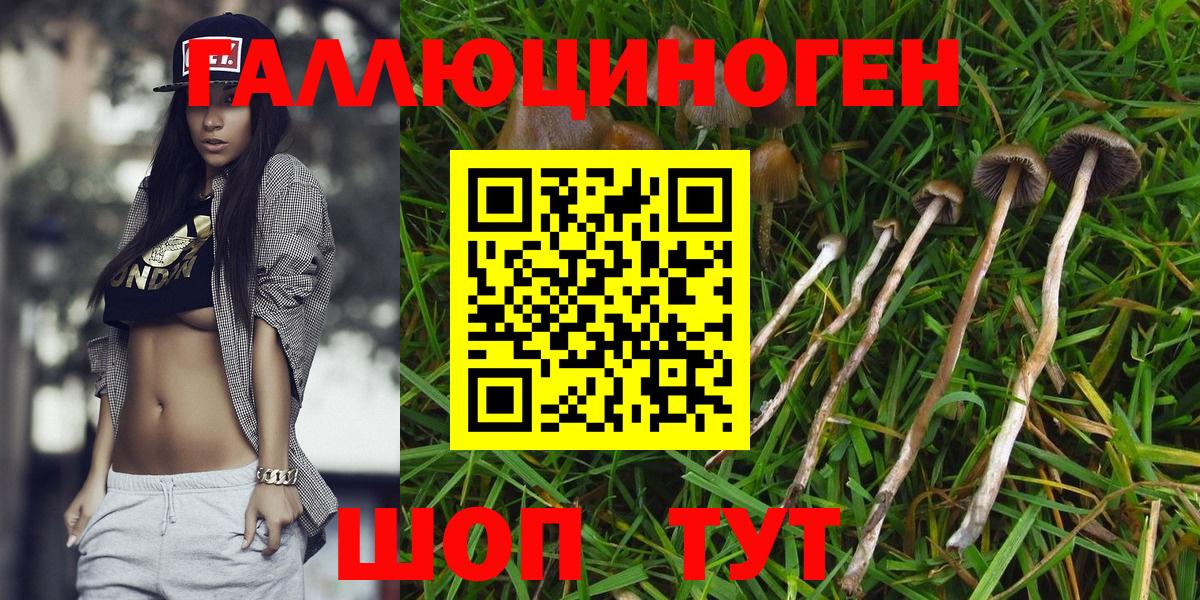 Морозовск  Галлюциногенные грибы GOLDEN TEACHER  Вход с VPN 