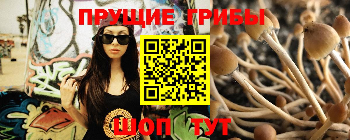 Галлюциногенные грибы прущие грибы Морозовск